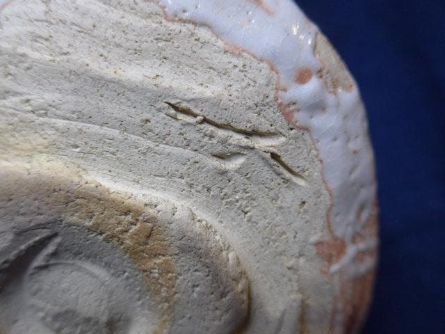 茶道具 志野茶碗　十鳳／加藤十右衛門の志野茶碗 共箱 未使用美品 本物保証