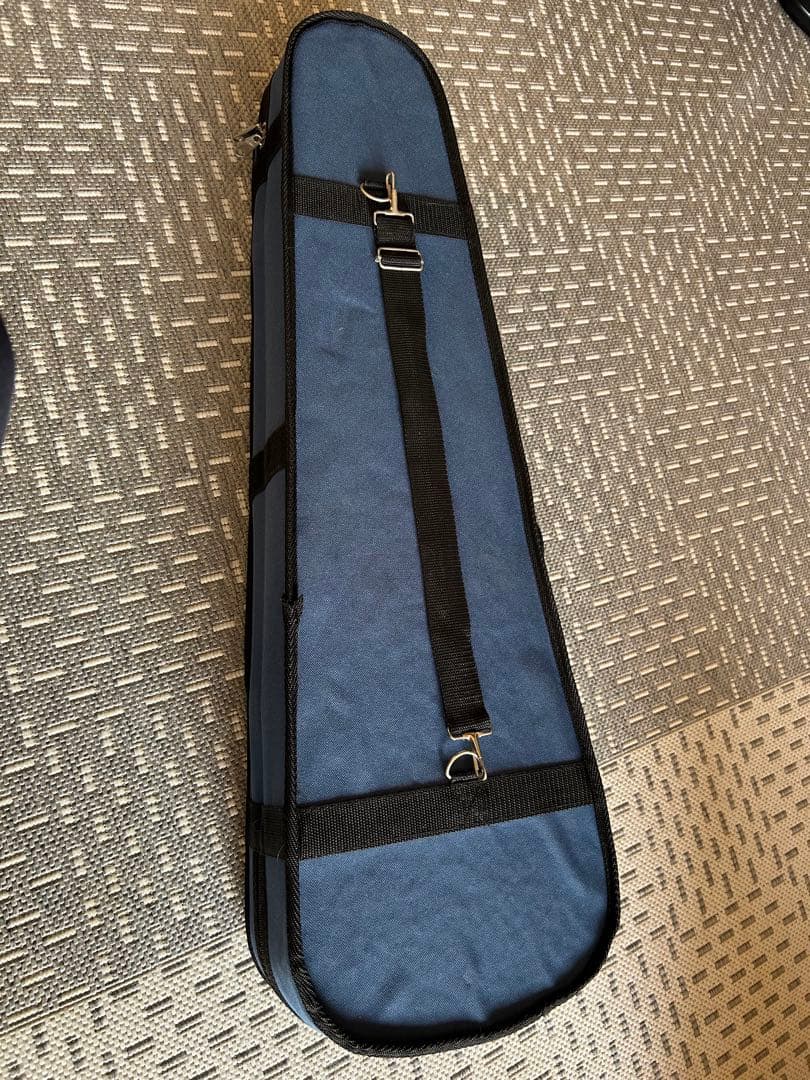 美品 Hallstatt ハルシュタット エレキバイオリンCV-210Eブラック