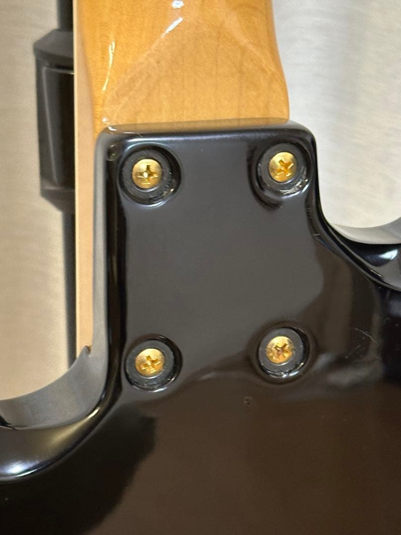 Fernandes BURNY MG-80X （MG-120X）BLK