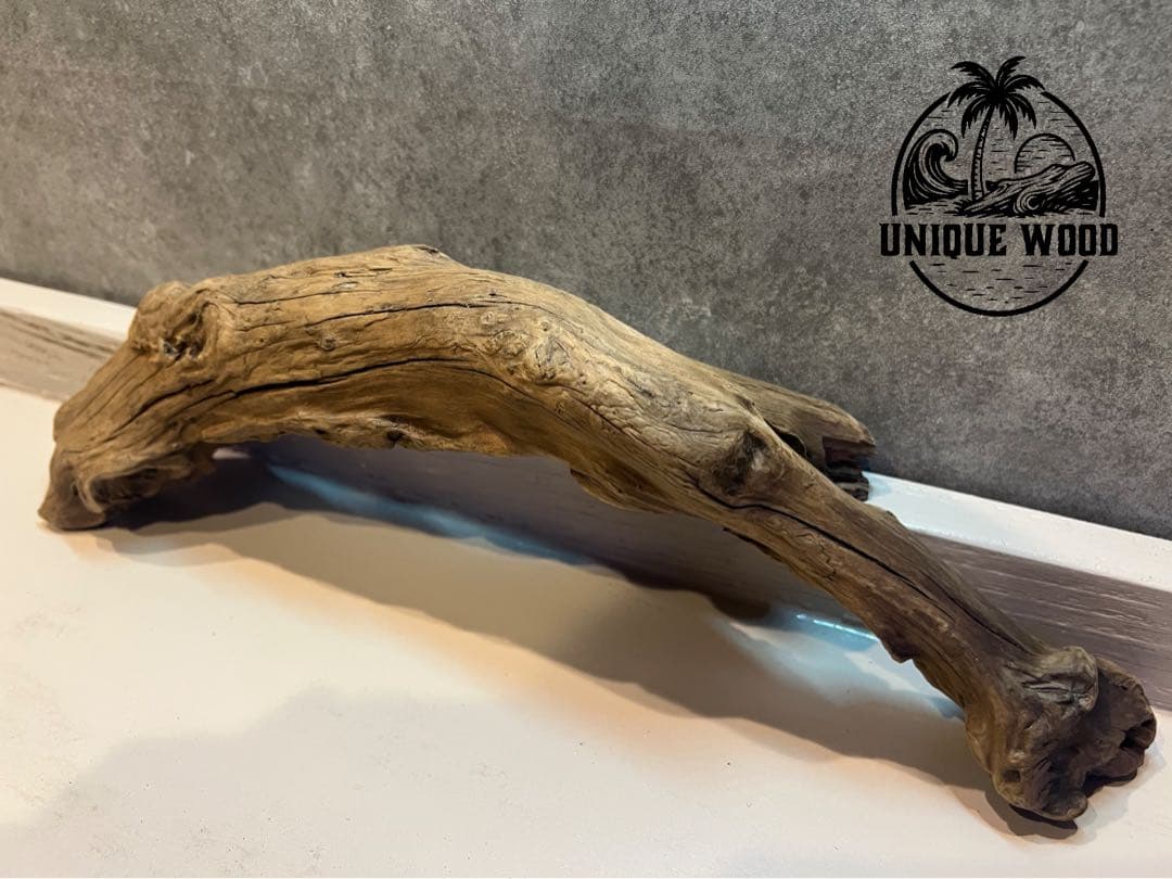 【コエポン】12点まとめ買い