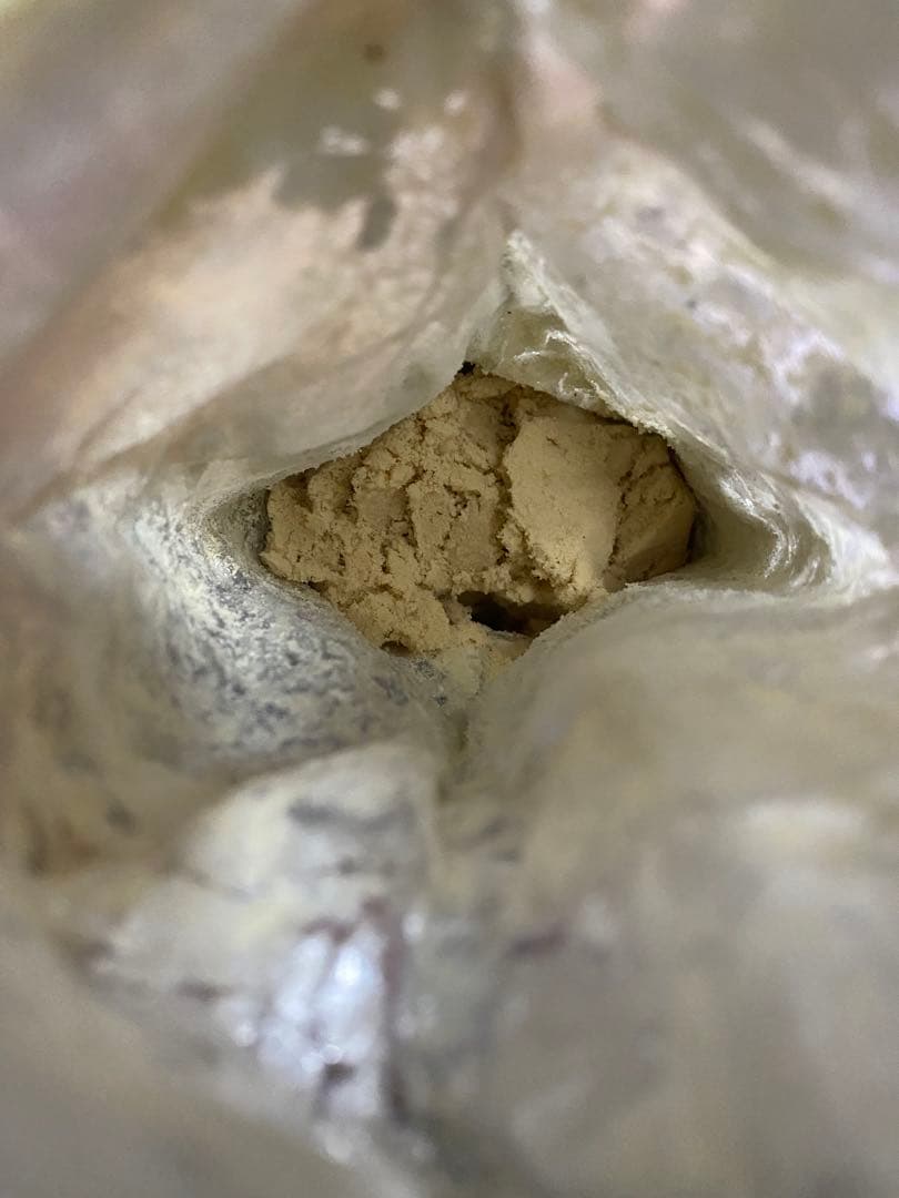 ルヴィ　エンザイムG