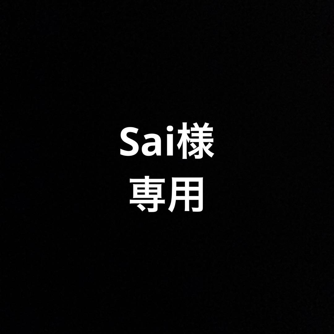 Sai　PUMP UP THE VALUUME Tシャツ　M
