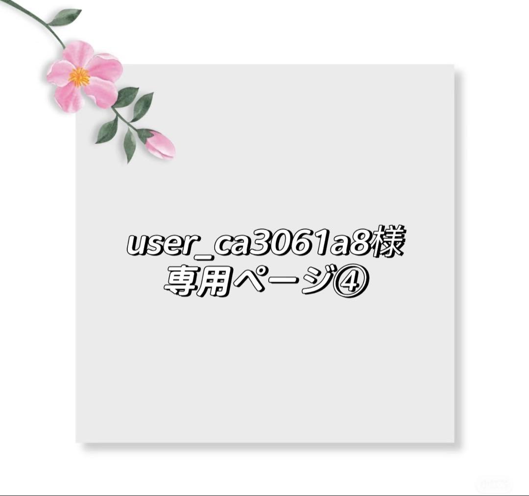 user_ca3061a8ページ④
