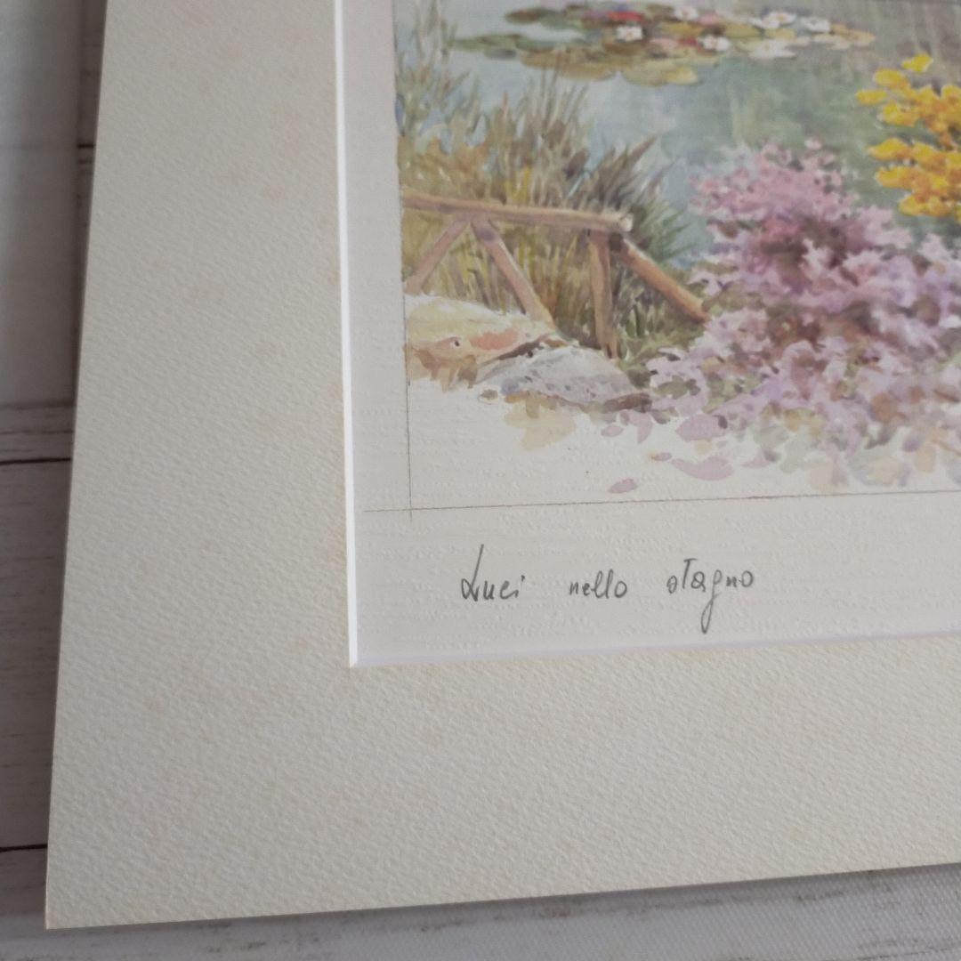 M. Marten, Lights in the Pond　公園　風景画