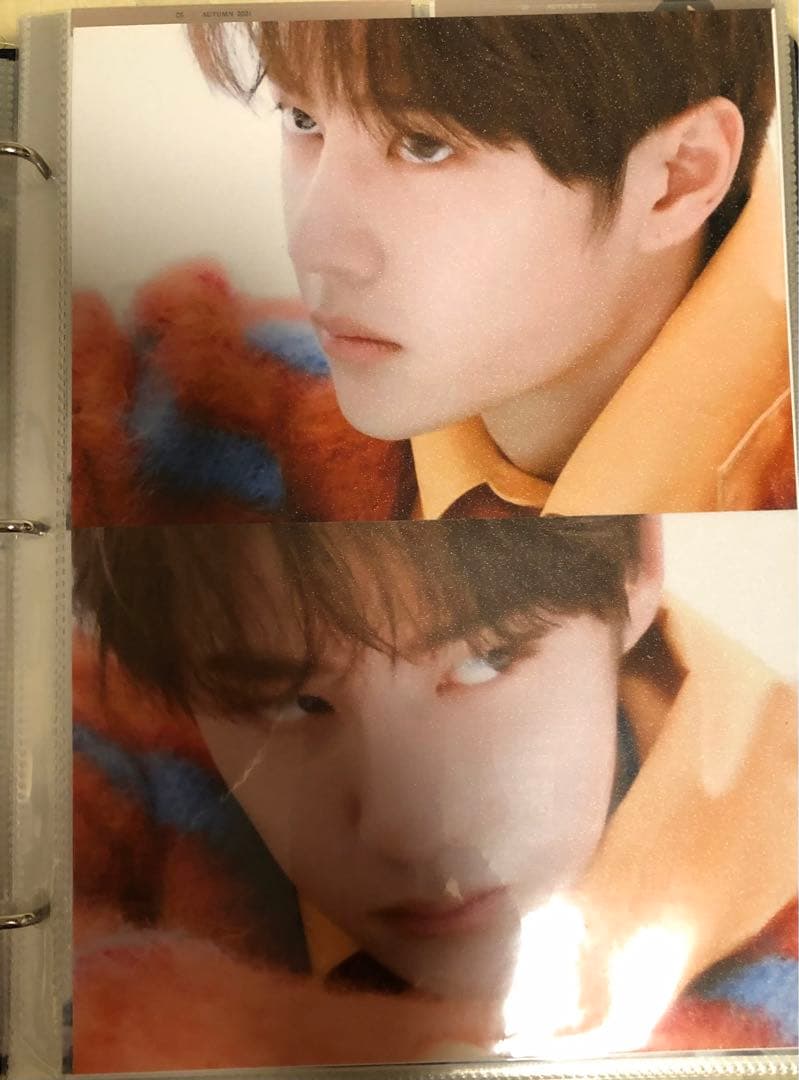 王一博　肖战　バインダー＋A4・Pカード・A5(A6)・トレカリフィル50枚分v