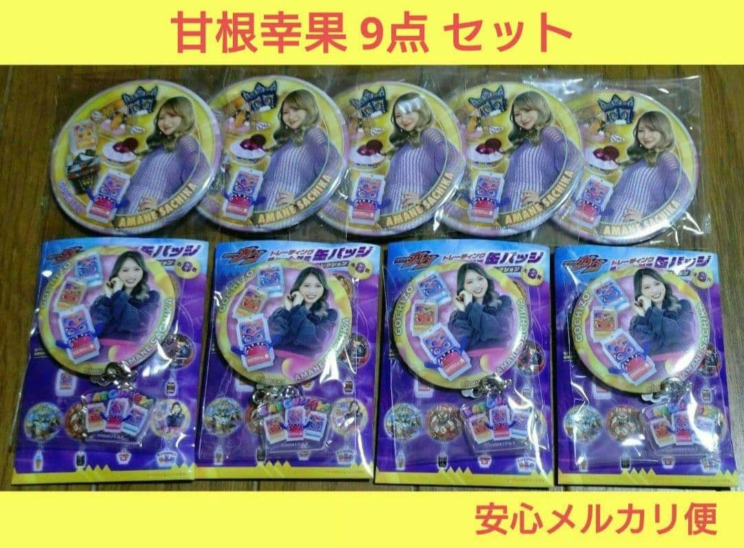 仮面ライダーガヴ 甘根幸果 宮部のぞみ トレーディング 缶バッジ 9点セット