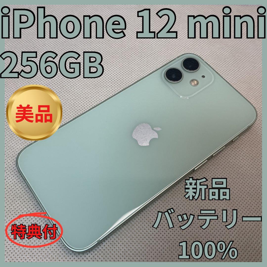 [美品]iPhone12mini 256GB新品バッテリー100％SIMフリー