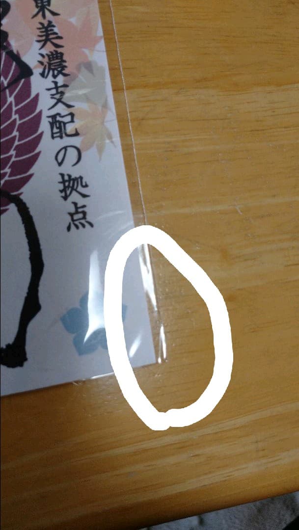 【秋限定版　金山城、明智城】＋【顔戸城、御嵩城】　４枚セット御城印　御朱印