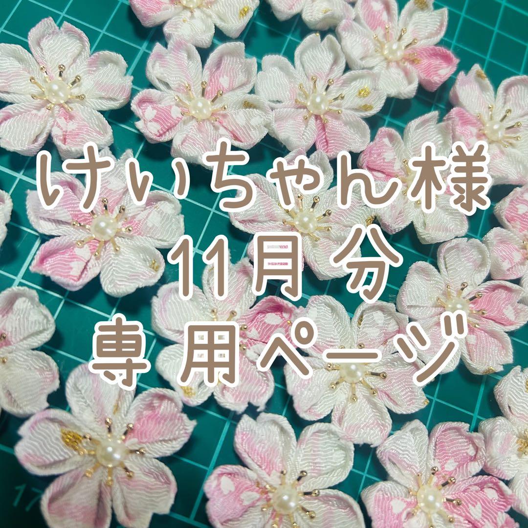 けーちゃんページ