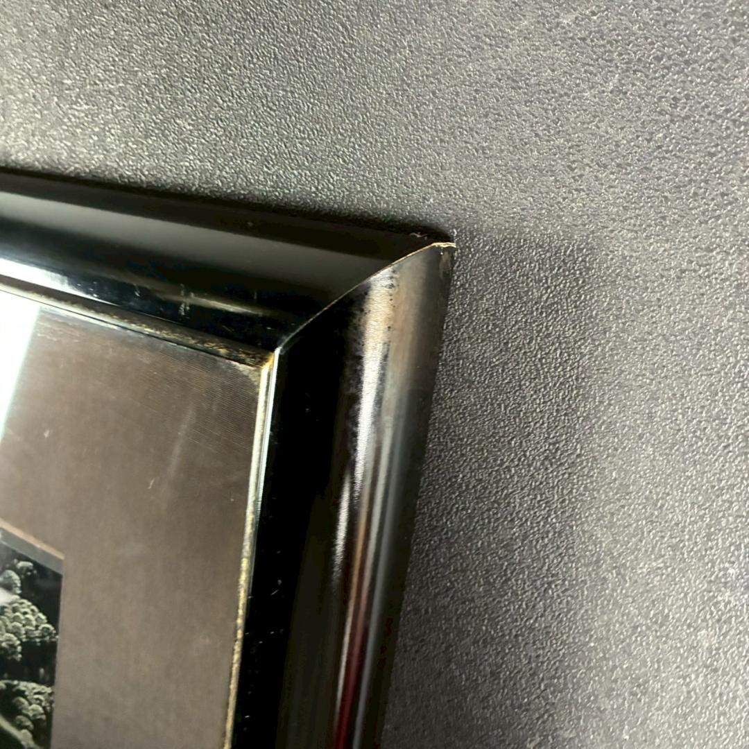 アイベン・アール「ラディアントスプレンダー」シルクスクリーン 大作 直筆サイン入