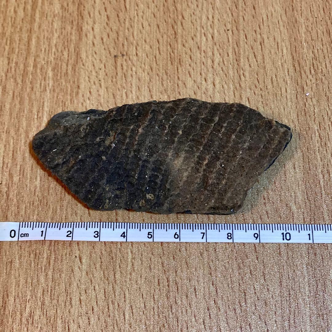 縄文土器の陶片 6点セット　4000〜5500年前