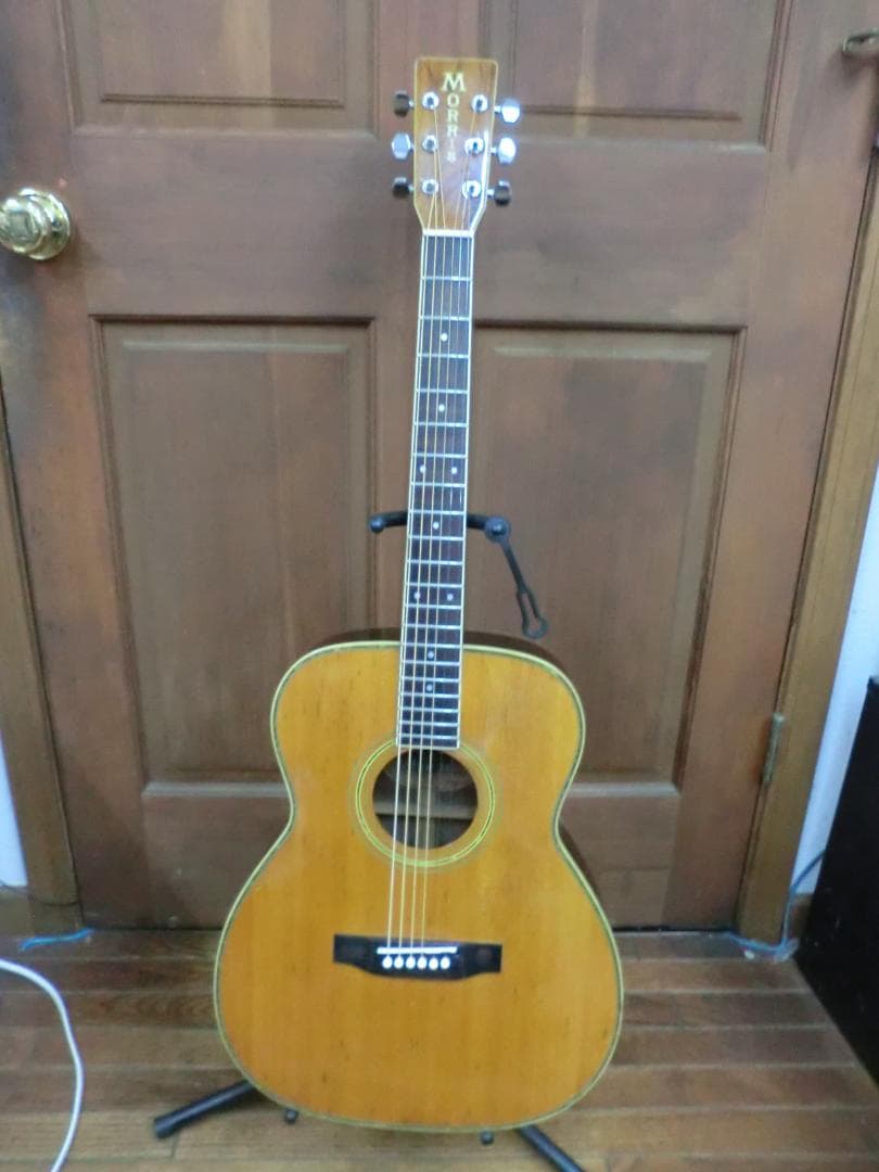 ギター Morris MF-40