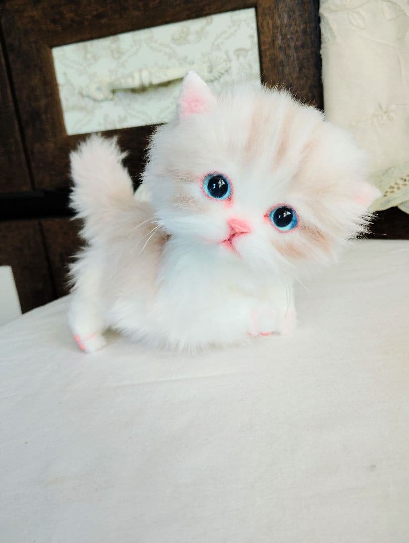 ラピ様御予約❤️よちよちあんよ♡短足ころころボディ♡マンチカン子猫ちゃん♡