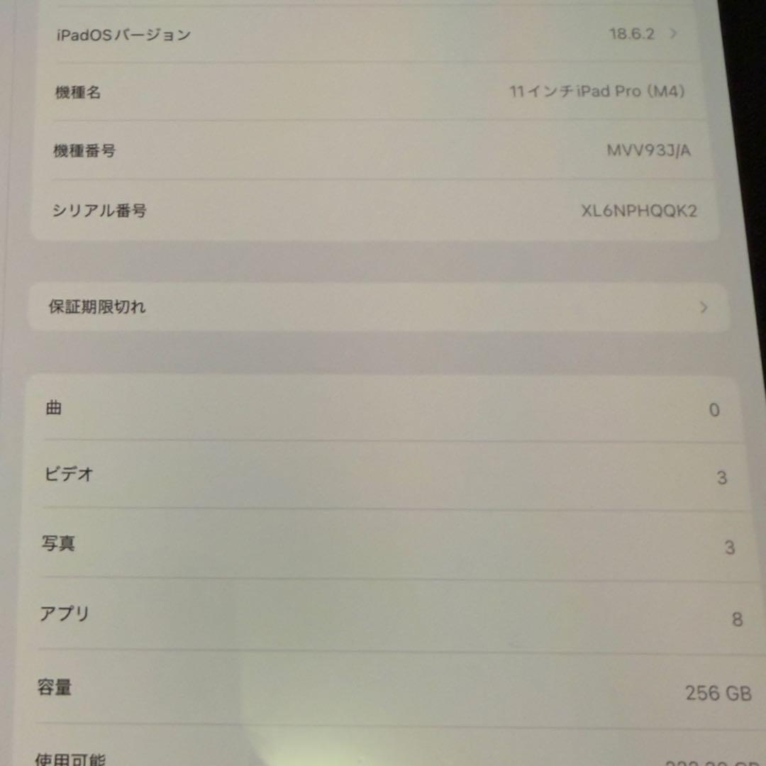 【週末限定価格明日迄】 Apple iPad Pro M4 256GB シルバー
