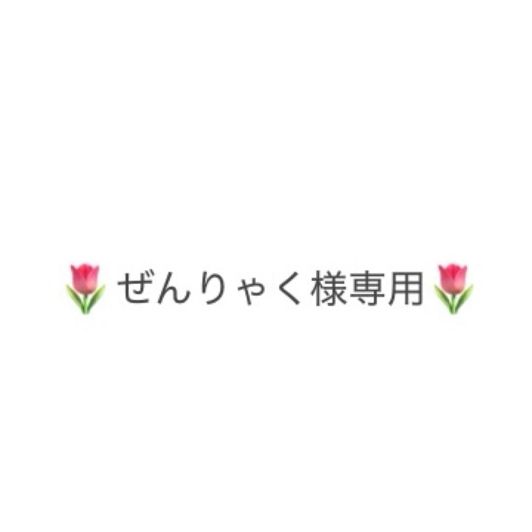 ぜんりゃくページ
