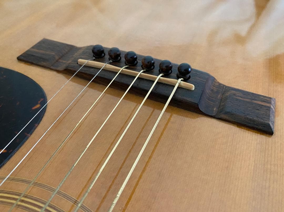 更に値下げいたしました！Jagard（寺田楽器）JD-25M