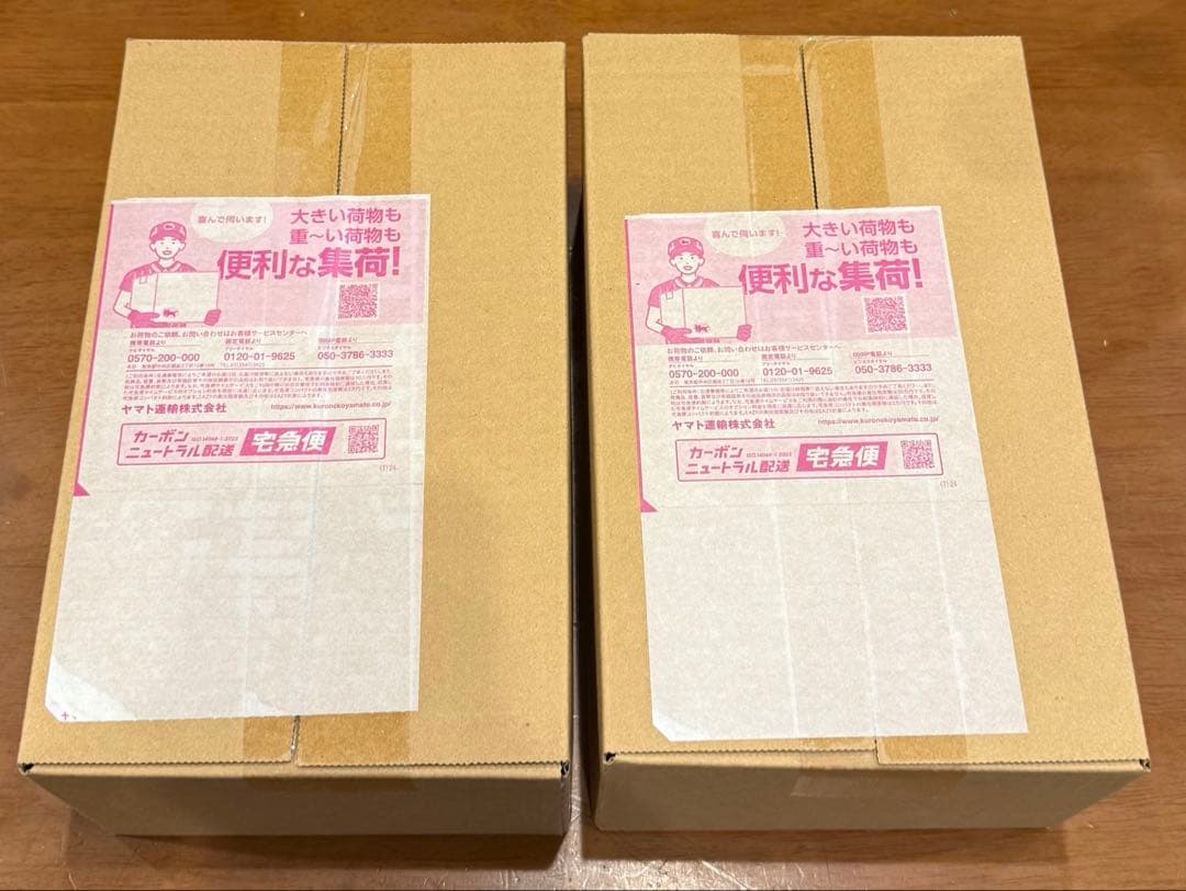 ポケモンセンター ヒロシマ スペシャルBOX 2個セット 完全未開封品