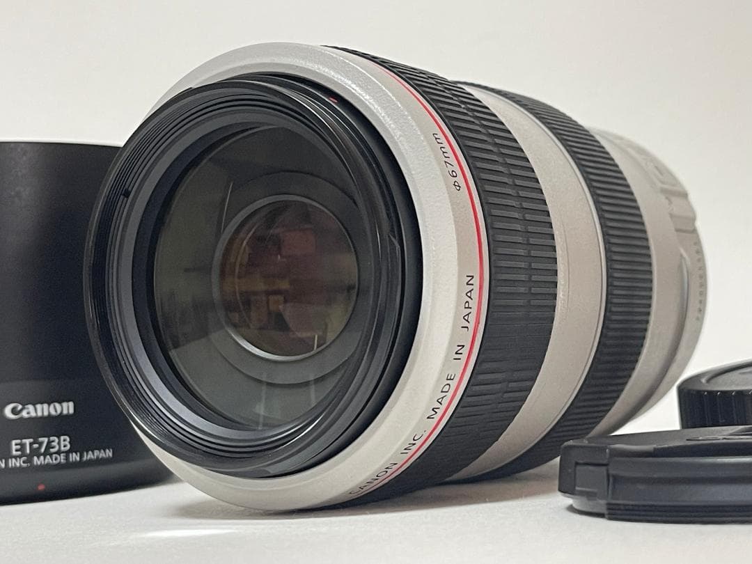CANON キヤノン EF 70-300mm f4-5.6 L IS USM