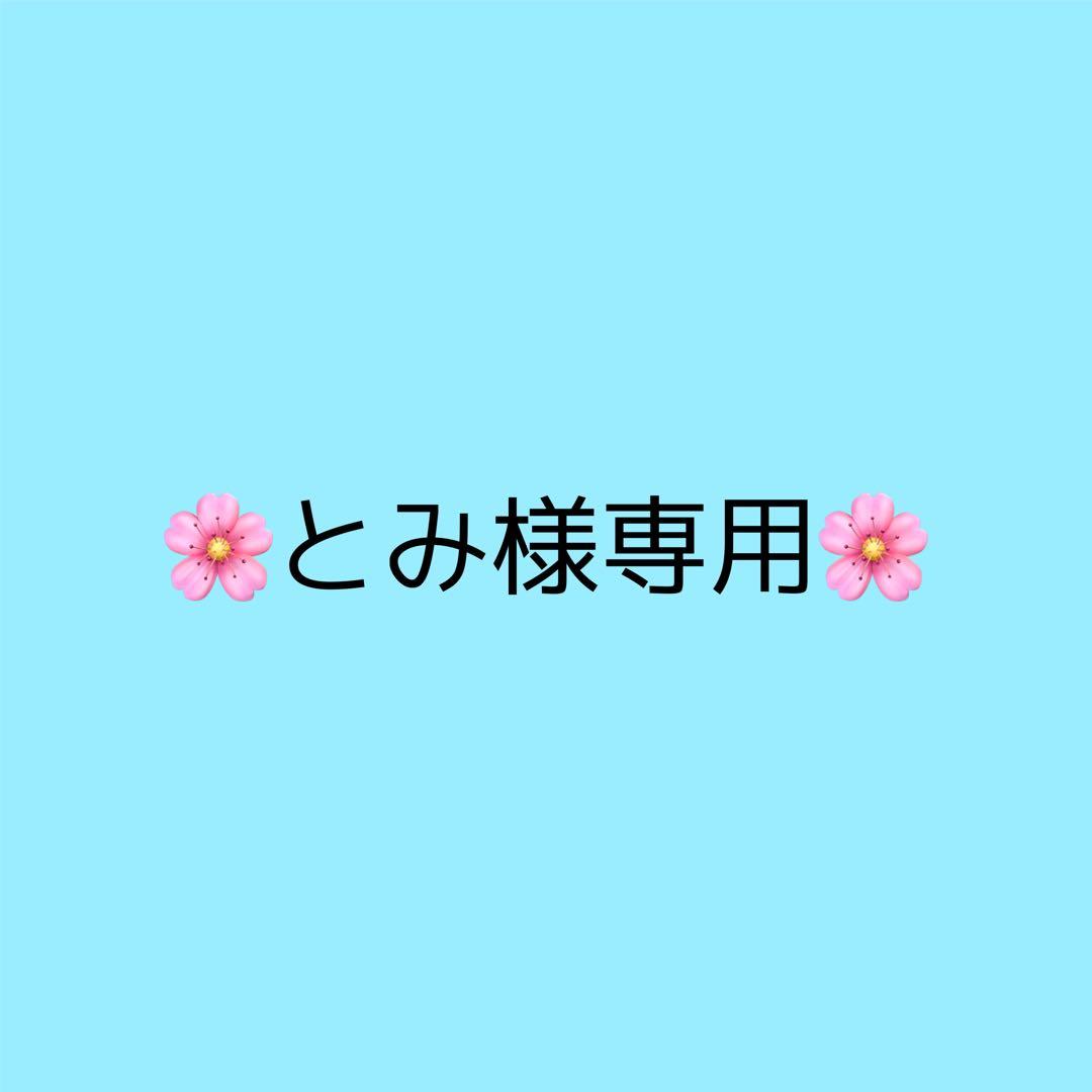 とみ 確認用