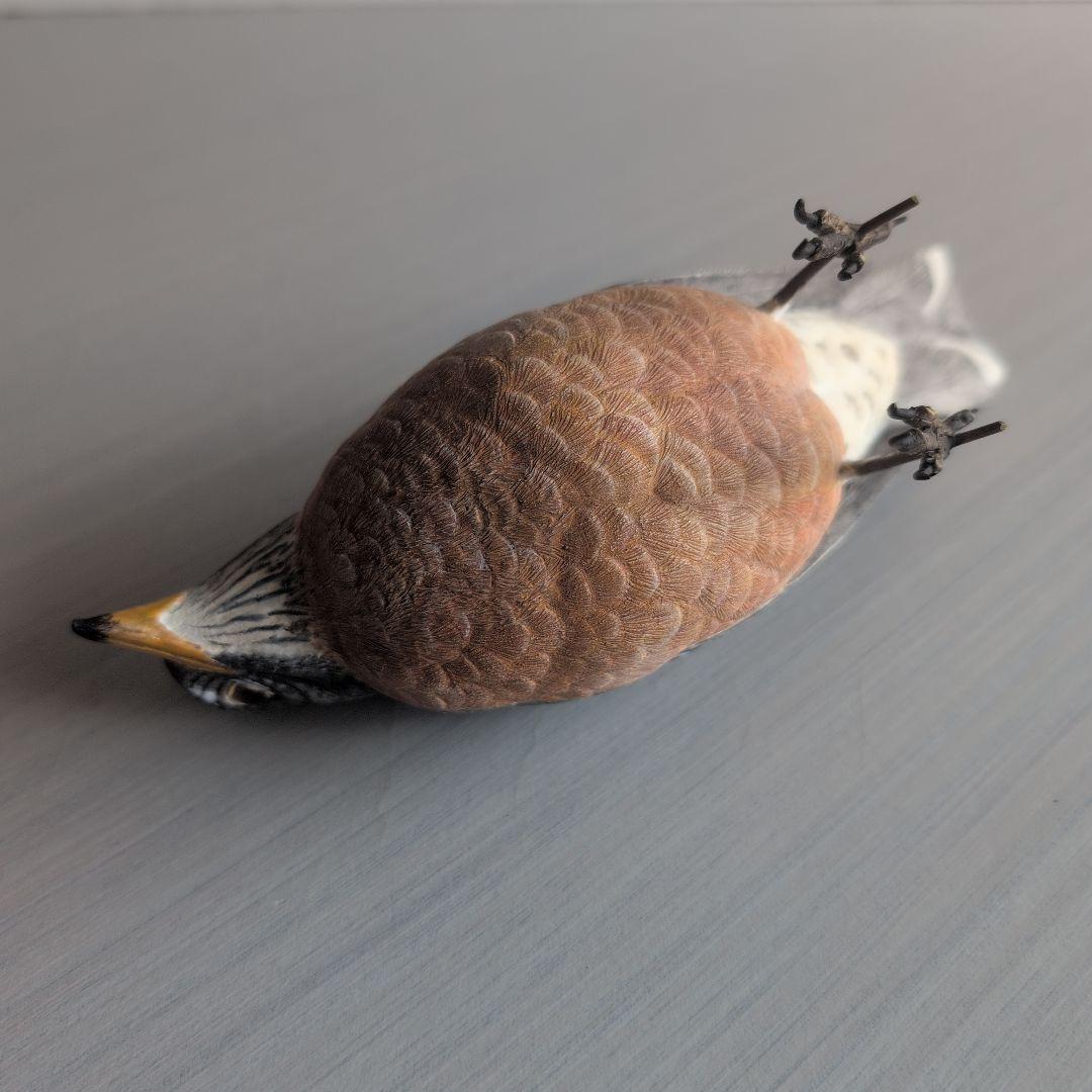 リアル木彫り　コマツグミ(アメリカン　ロビン) 野鳥彫刻 バードカービング