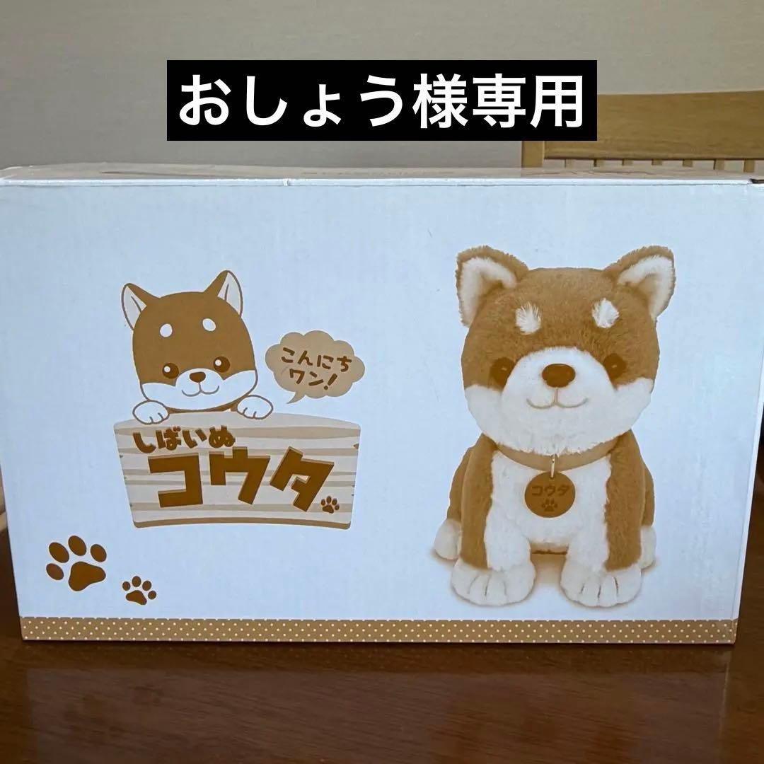 しばいぬコウタ　おしゃべりぬいぐるみ