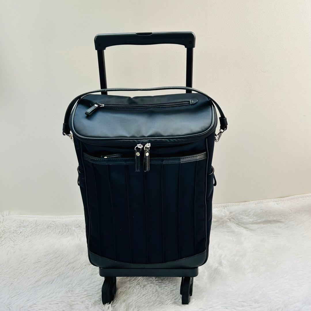 美品⭐︎スワニー キャリーバッグ リニーエ3 L21 ストッパー付 D-550