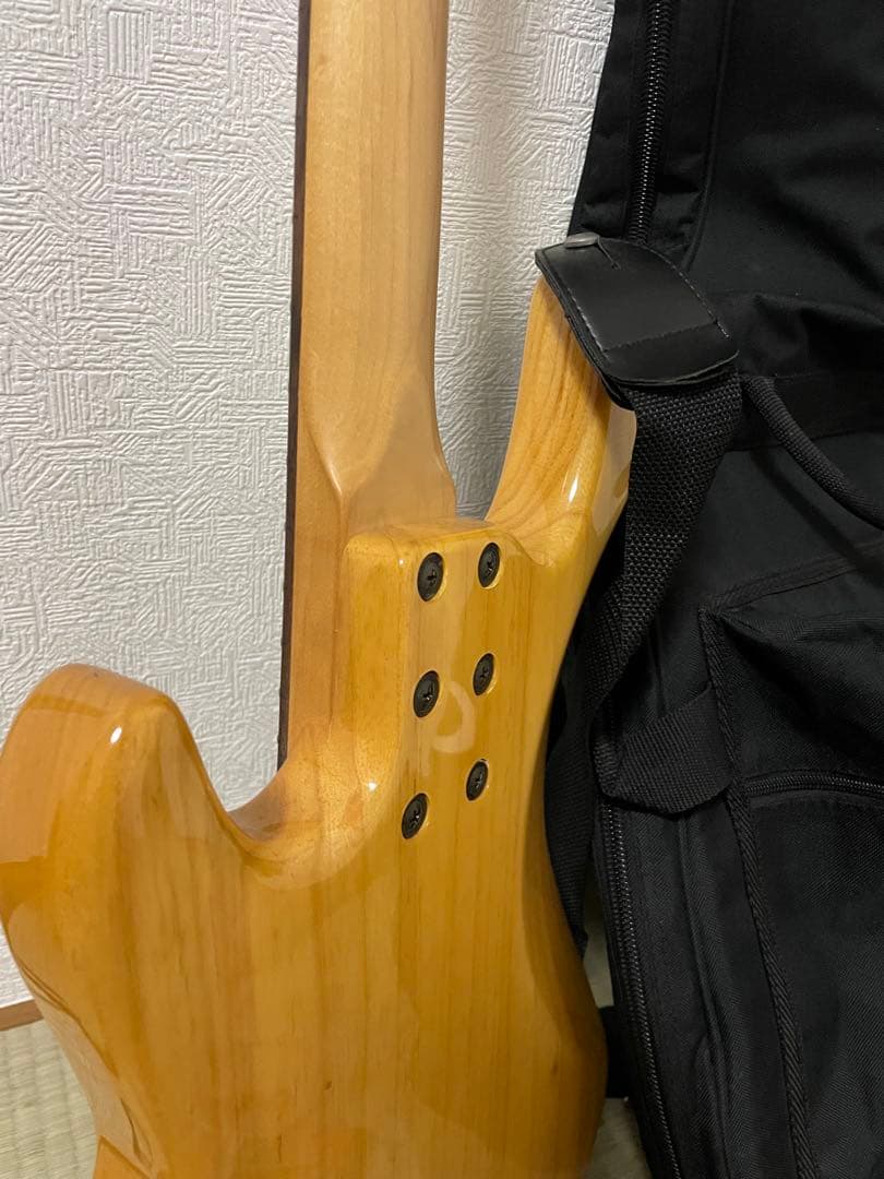 G&L L-2000 トリヴュート Mod