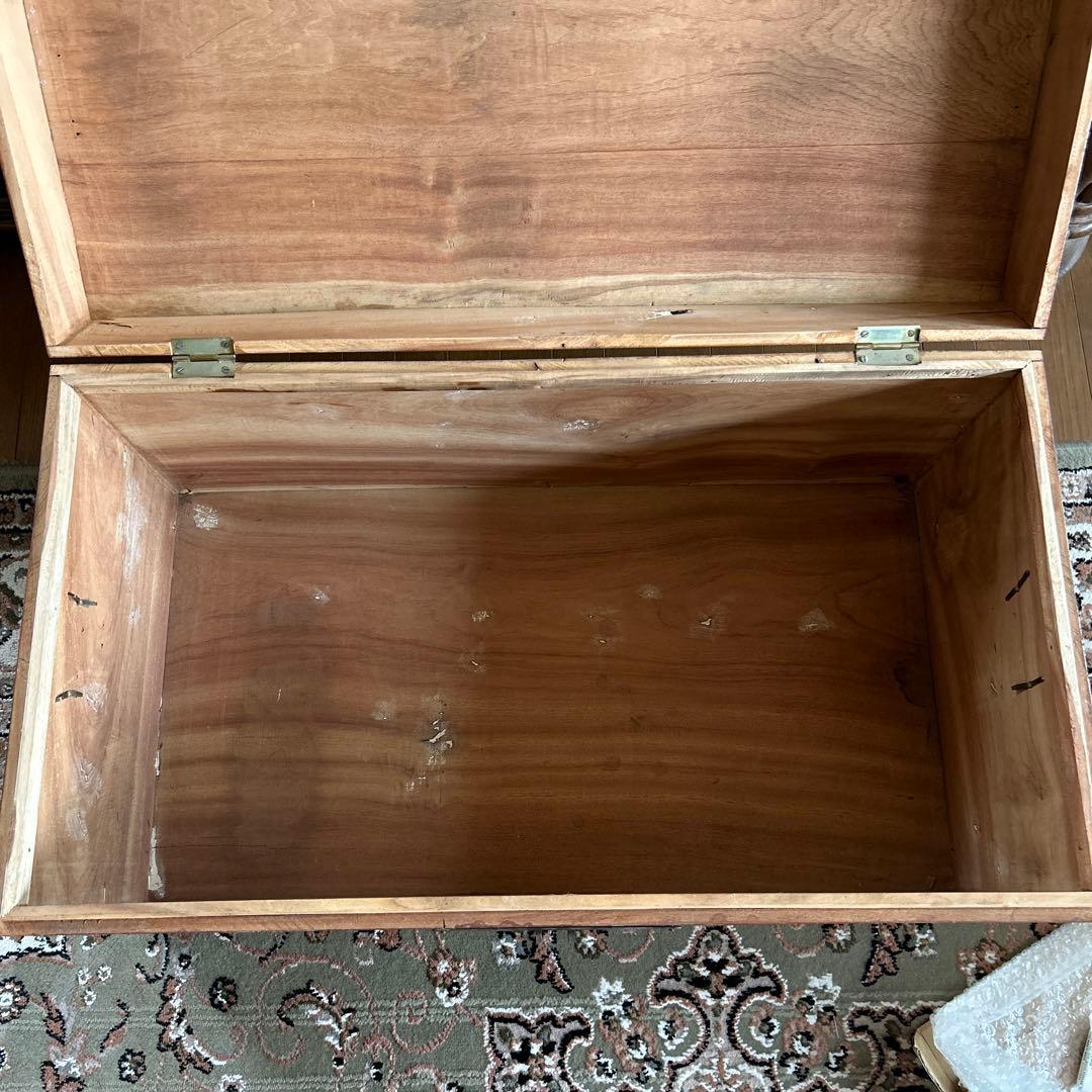旧家蔵(清時代)樟木？黄花梨？貴重家具大木箱　蔵書画大木箱　珍しいコレクション