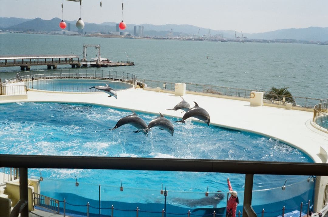 ウルル