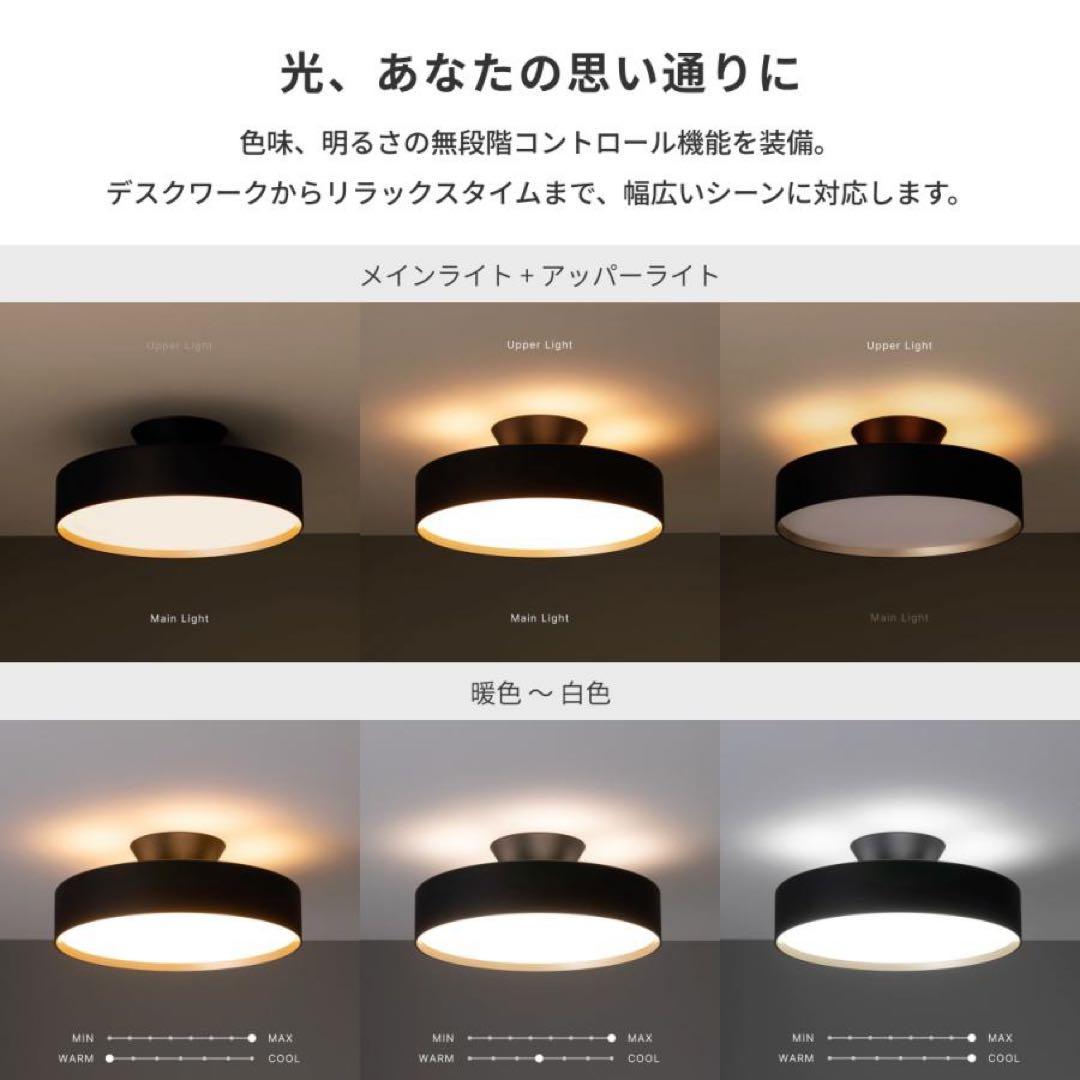 ART WORK STUDIO シーリングライト 黒