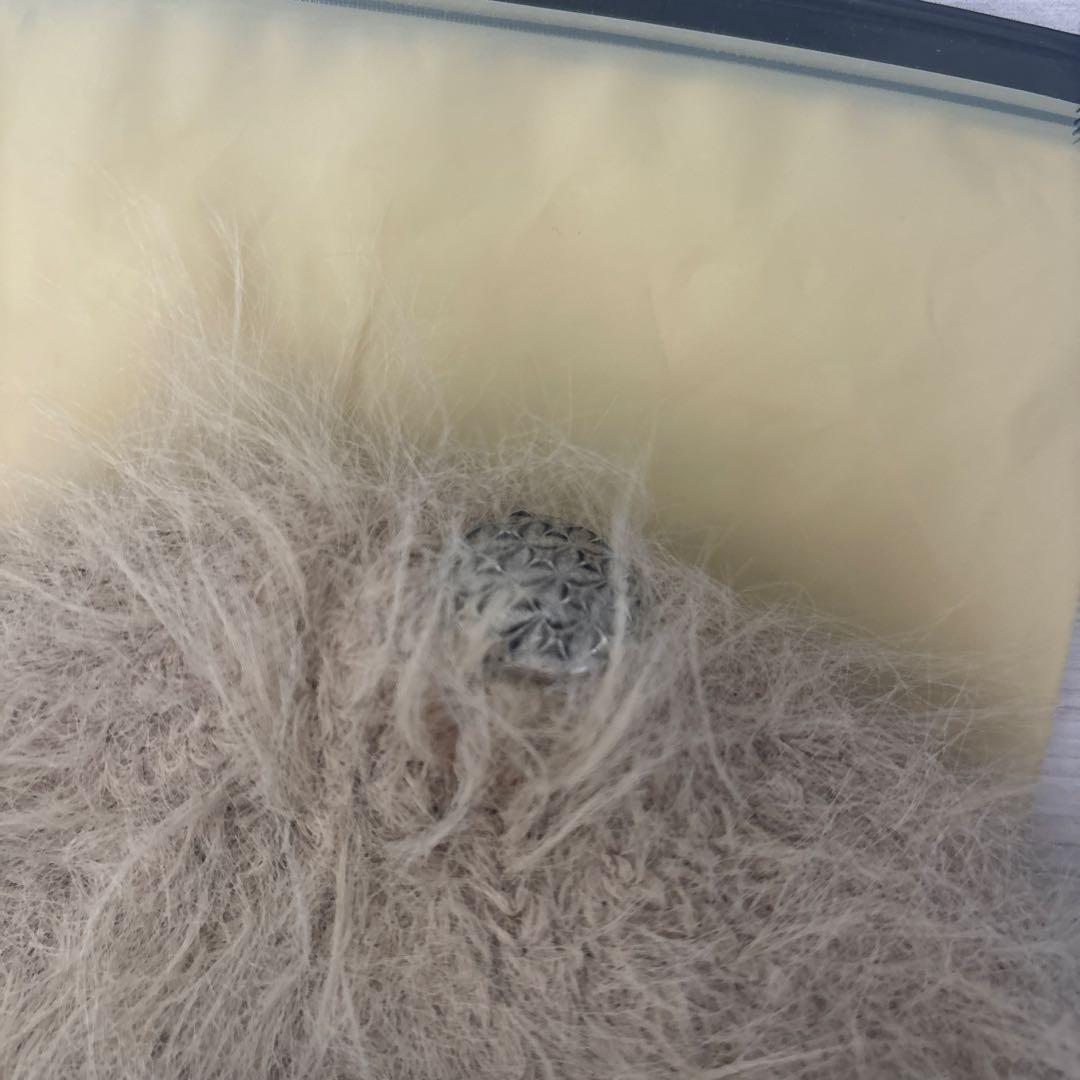 thugclub ビーニー　ブラウン　サグクラブ　正規品