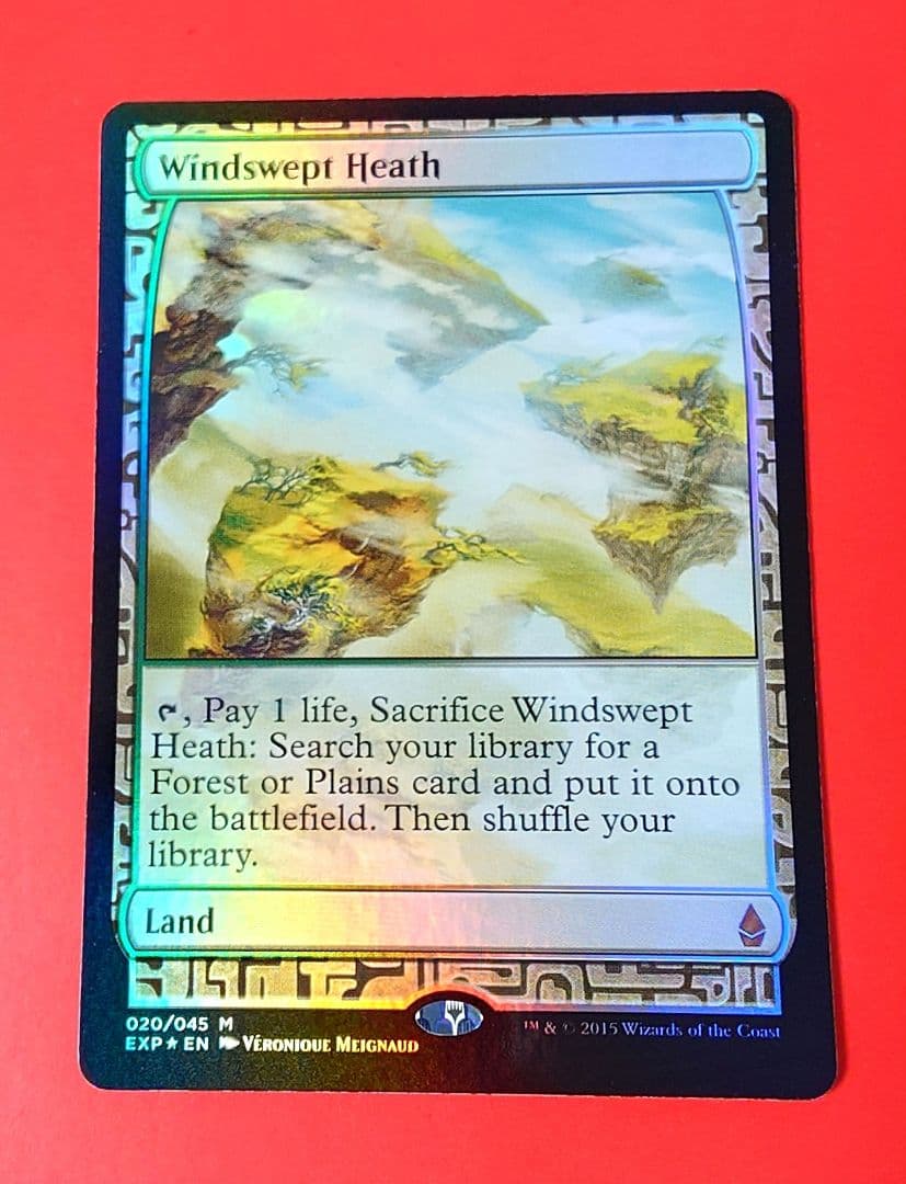 MTG 吹きさらしの荒野 Foil フォイル 英語版