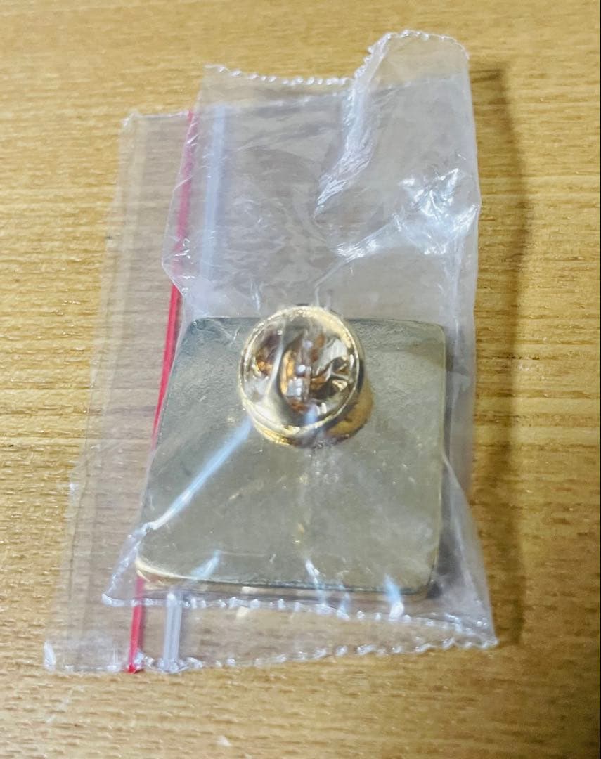 【超激レア・非売品】大阪・関西万博 Expo 2025トルコ館 ピンバッジ