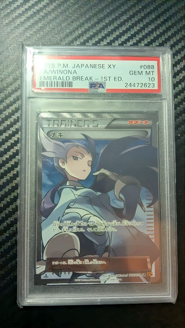 【psa10】ナギ SR XY6 エメラルドブレイク 088/078