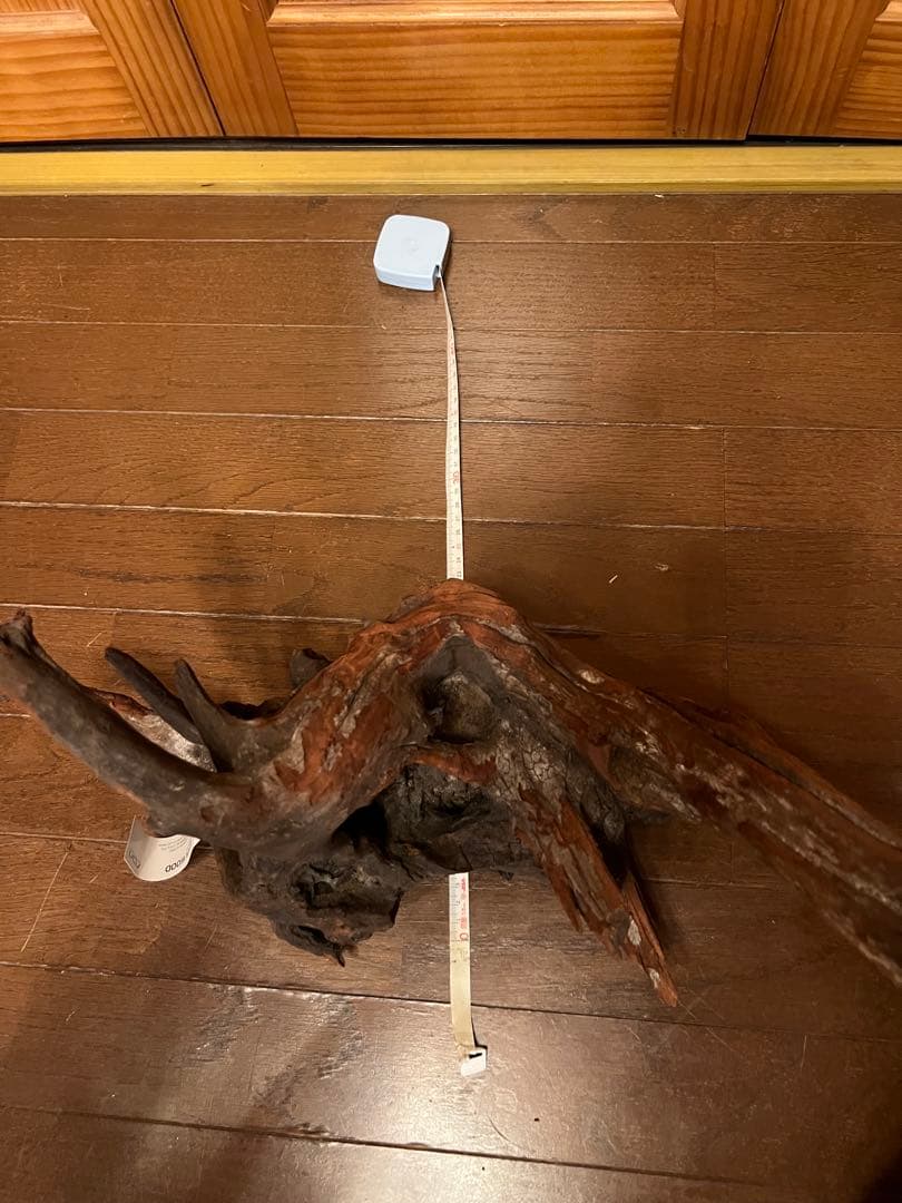 ADA ホーンウッド　HORN WOOD LL