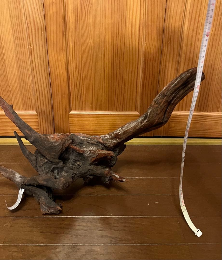 ADA ホーンウッド　HORN WOOD LL