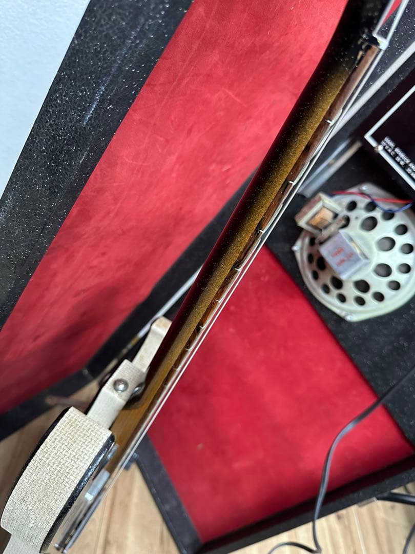 1965年製silver toneシルバートーン1448Amp in Case