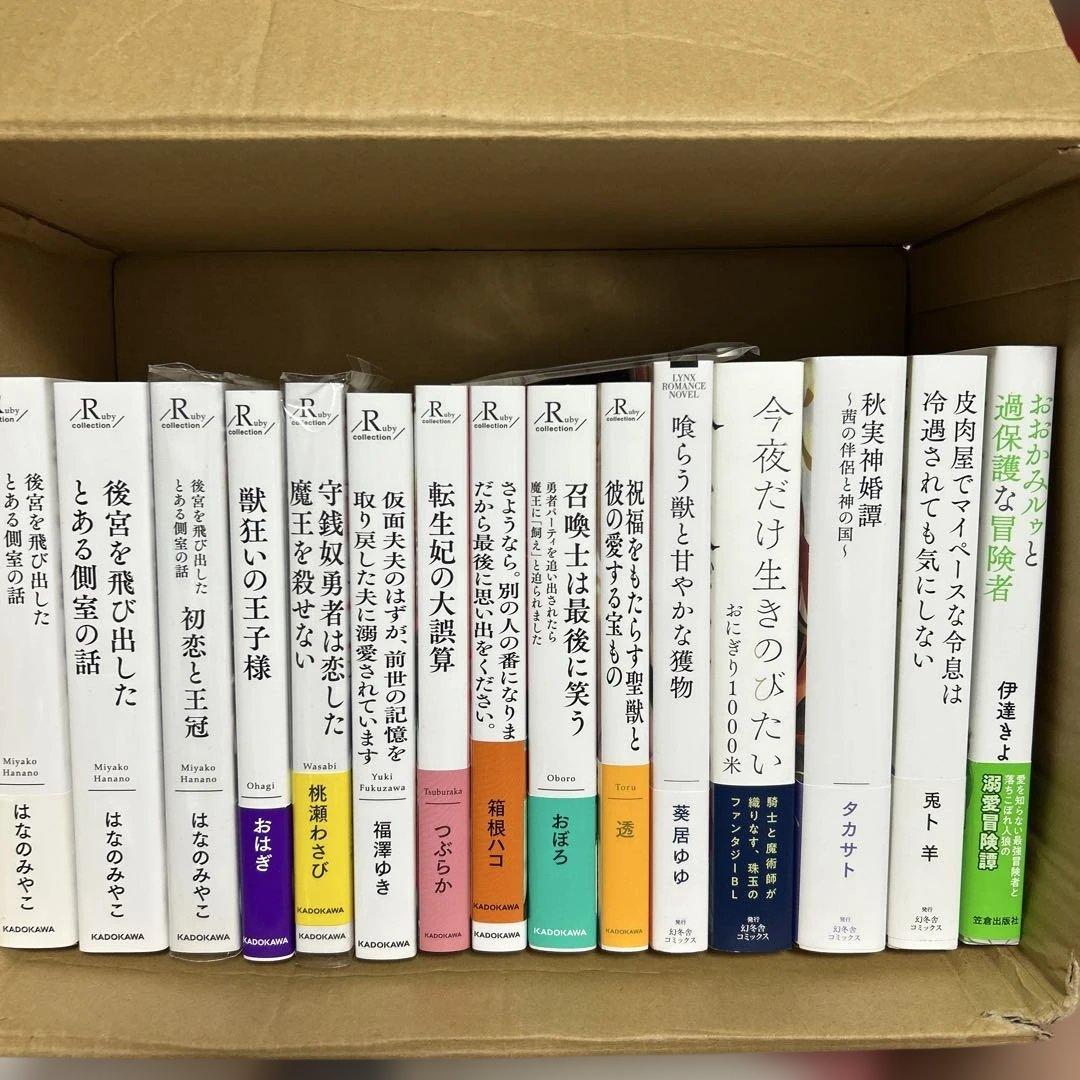 bl 小説纏め売り　大判サイズ15冊セット