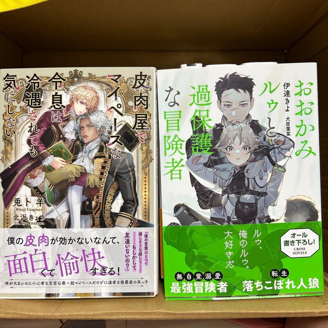 bl 小説纏め売り　大判サイズ15冊セット