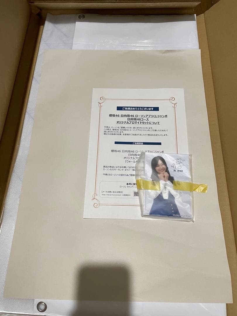 日向坂46オリジナルブロマイドセット
