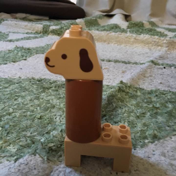 首長犬