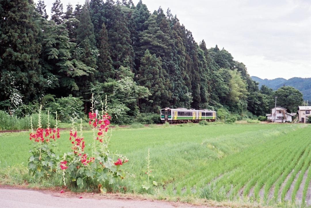 【実写確認整備品】ニューキャノネットQL19G-Ⅲ／CANON LENSf1.9