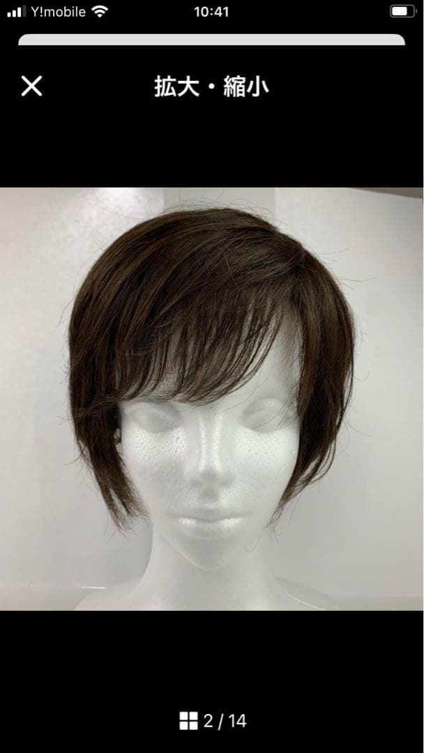 アートネイチャー　jo フルウィッグ　機械植え　レディース