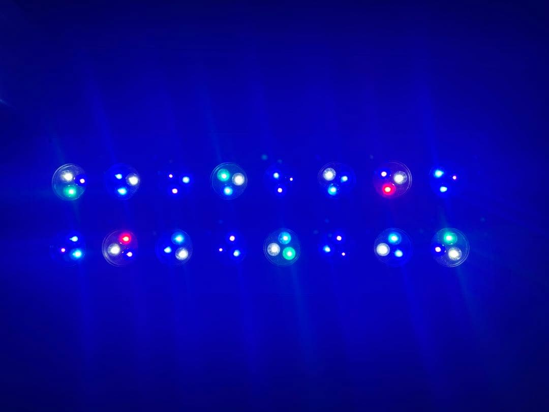 美品　ZOOX　レブロン60