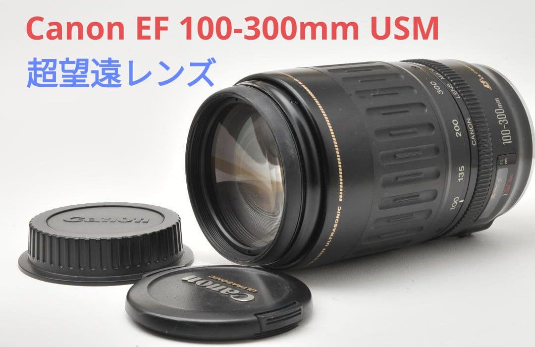 10月5日限定価格♪Canon EF 100-300mm F4.5-5.6