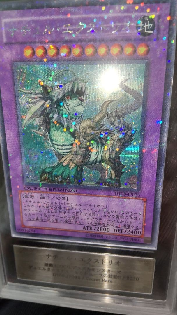 遊戯王　ナチュル・エクストリオ シークレット　dt ars10 psa　特価