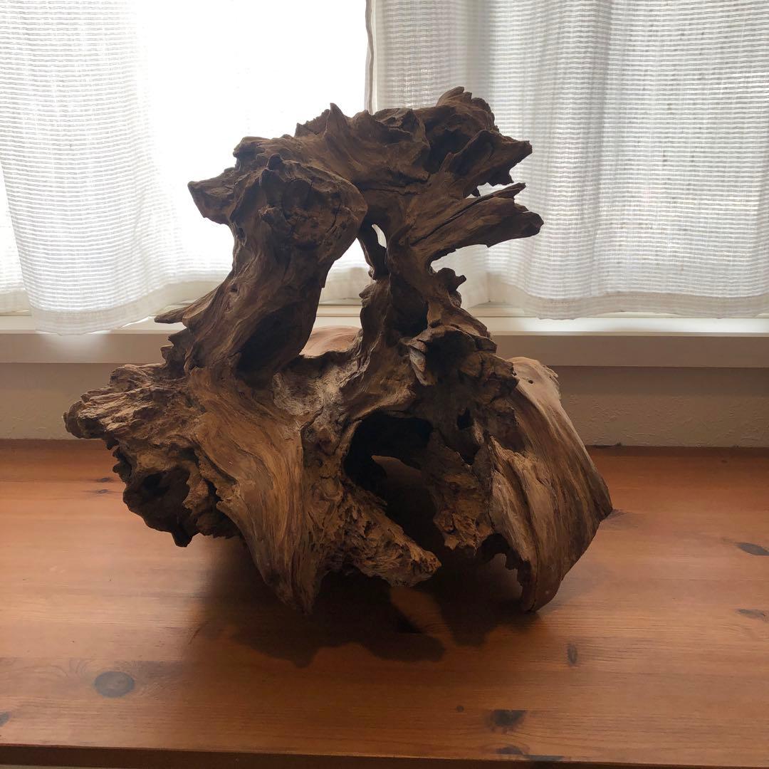 屋久杉置物