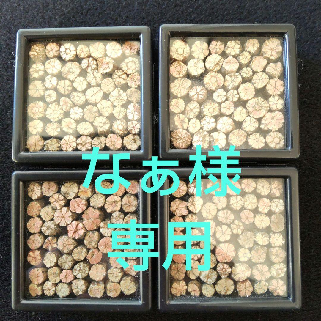 桜石４ケース
