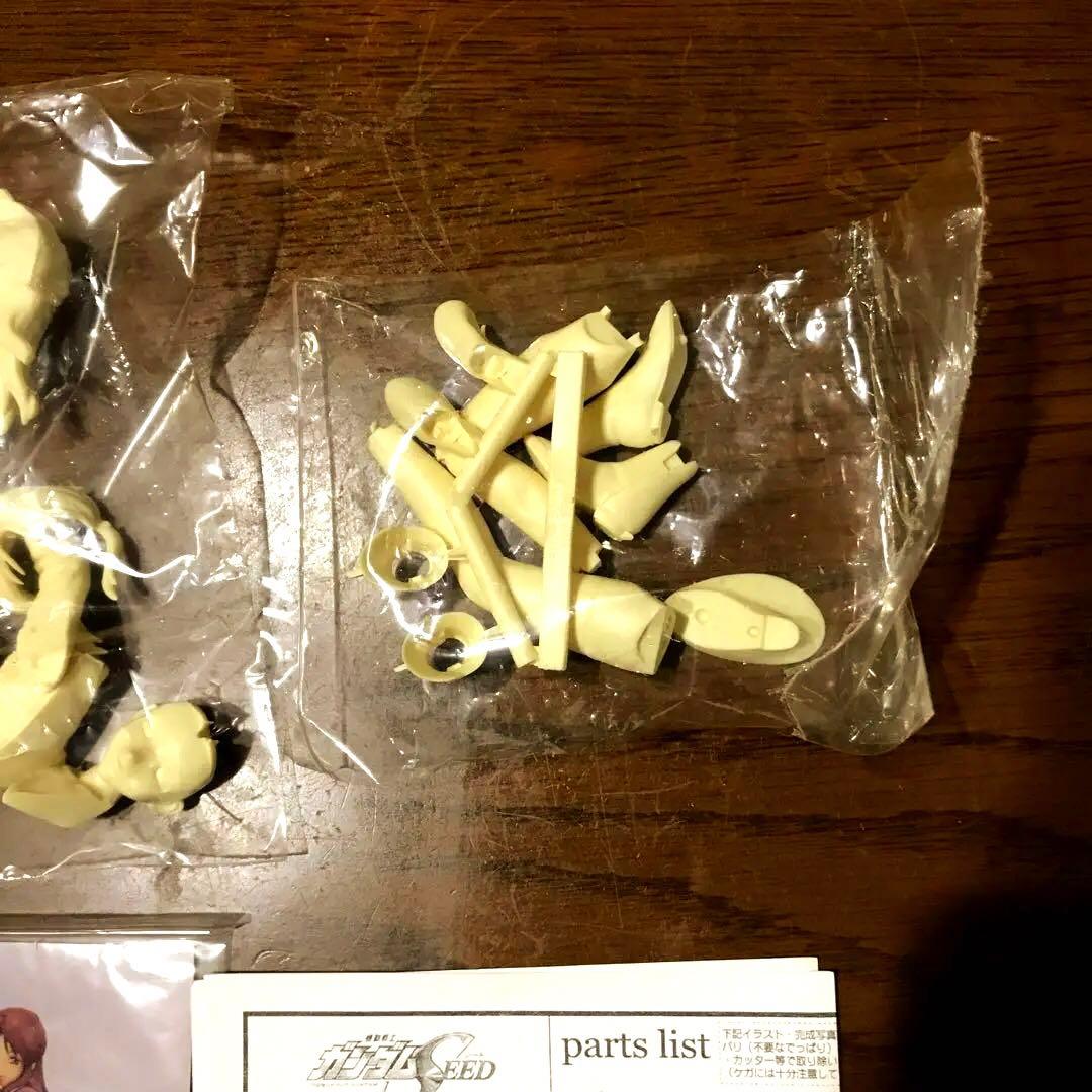 C3限定KOTOBUKIYA製1/8ラクス&1/8フレイガレージキットセット