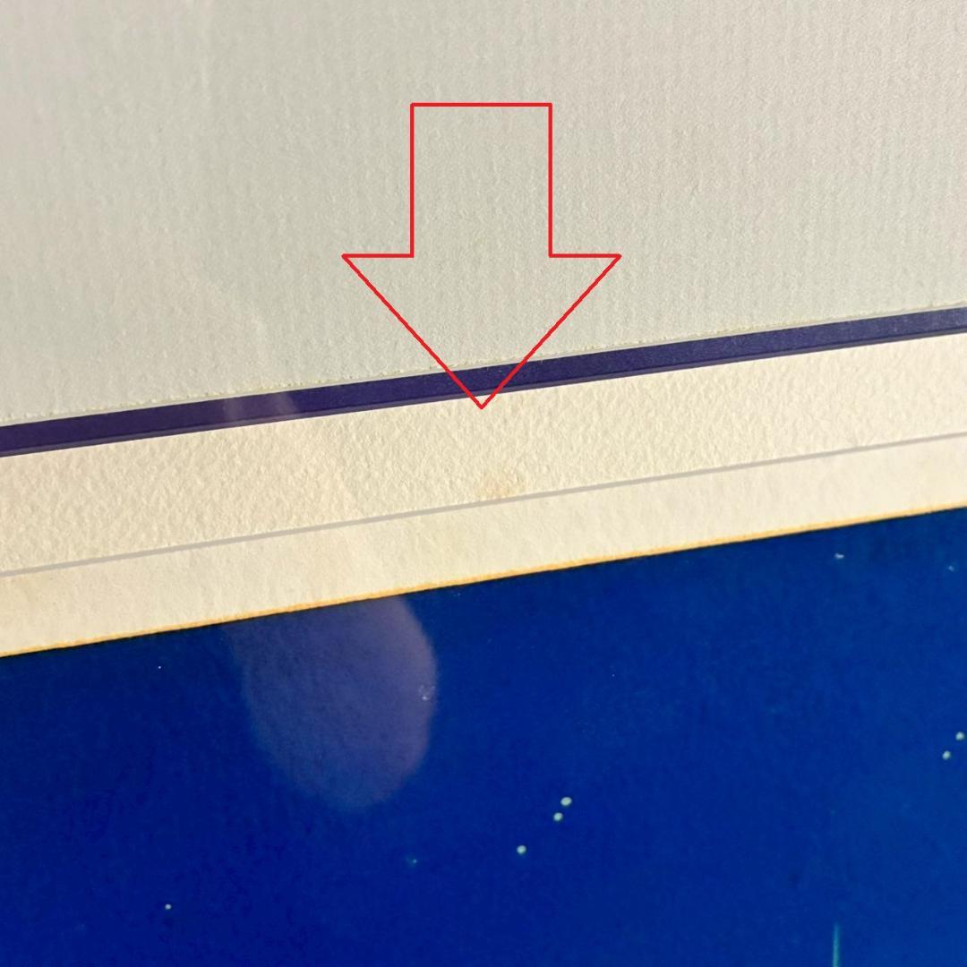 ヒロ・ヤマガタ「星影のステラ」シルクスクリーン 大作 直筆サイン入り 額縁入り